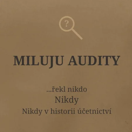 Miluju audity řekl nikdo nikdy
