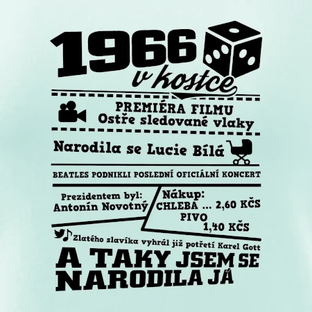 1966 v kostce