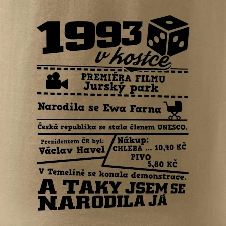 1993 v kostce