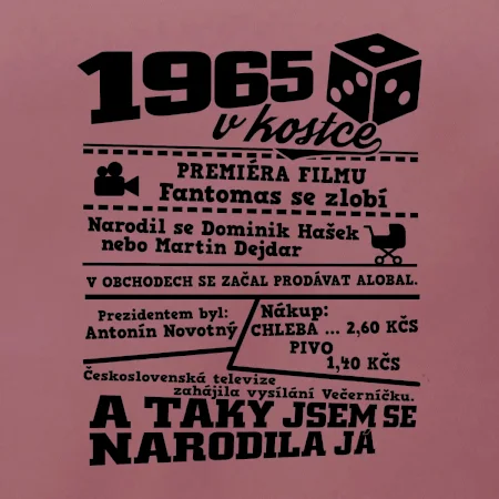 1965 v kostce