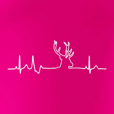 Jelen EKG