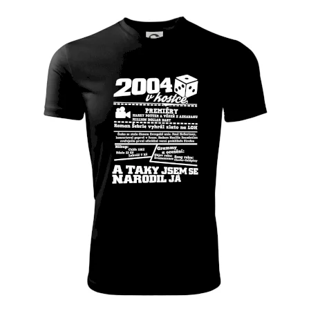 2004 v kostce