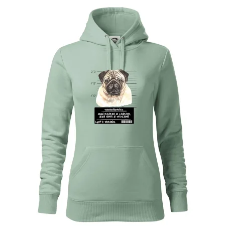 Lump a darebák mopsík