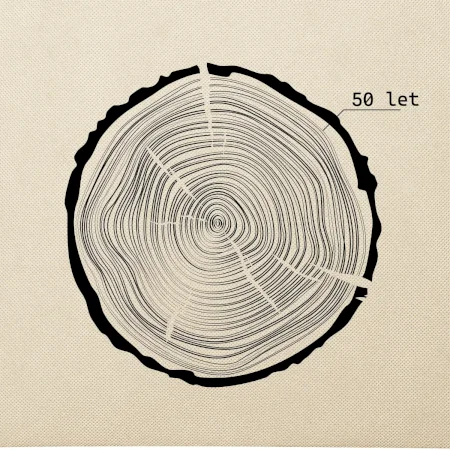 Letokruhy - 50