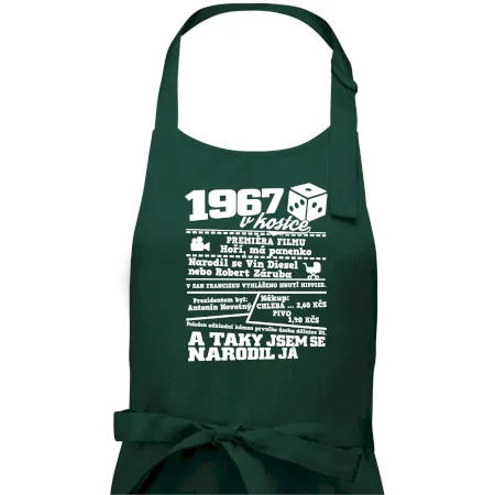 1967 v kostce