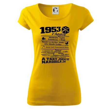 1953 v kostce
