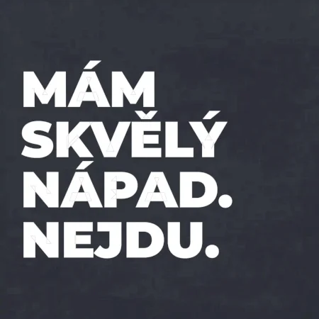 MÁM SKVĚLÝ NÁPAD. NEJDU.