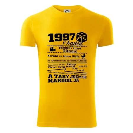 1997 v kostce