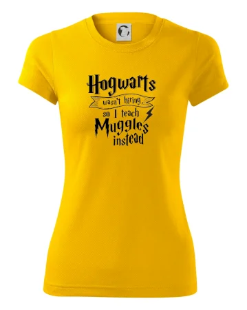 Harry - Hogwarts wasn’t hiring, so I teach Muggles instead