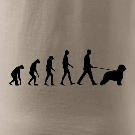 Evoluce pes Briard