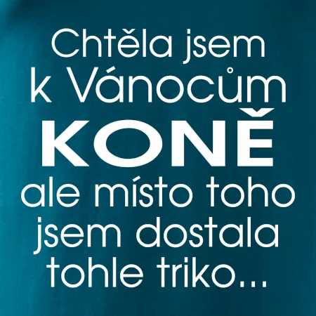 Chtěla jsem k Vánocům koně