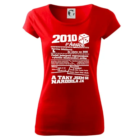 2010 v kostce