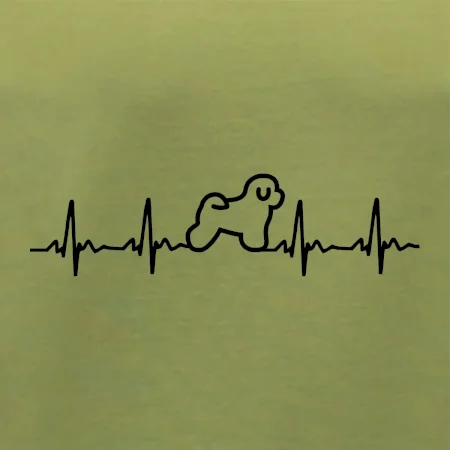 Bišonek ekg