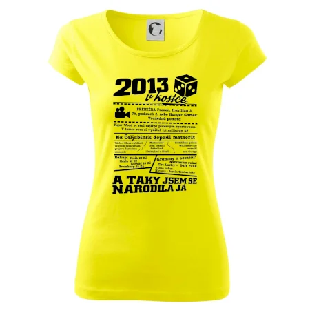 2013 v kostce