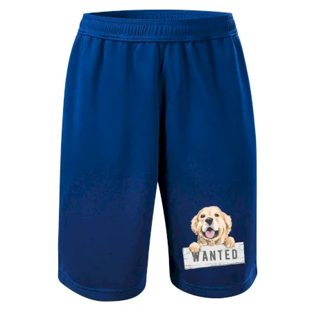 Zlatý retriever - štěně wanted