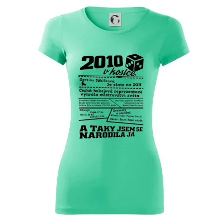 2010 v kostce