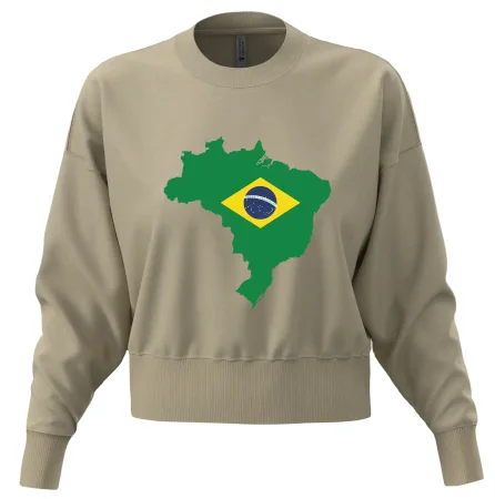 Brazílie vlajka v mapě