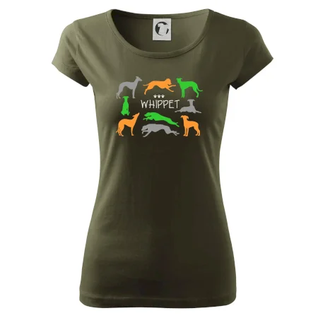 Whippet barevný