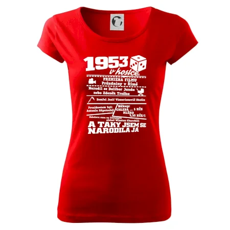 1953 v kostce