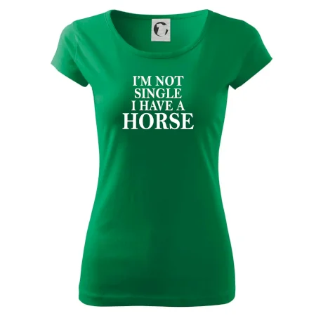 I have a horse - Nepotřebuji přítele