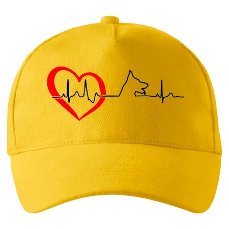 Německý ovčák ekg
