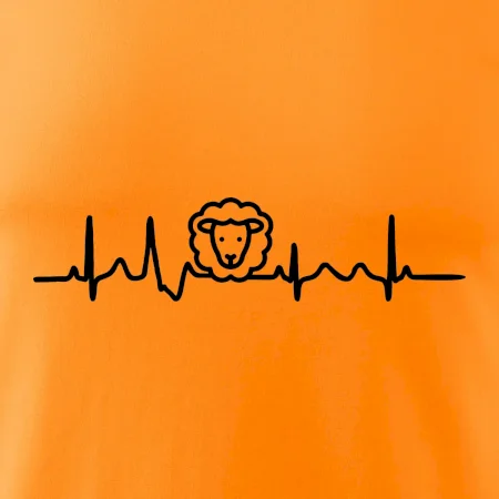 Ekg ovce