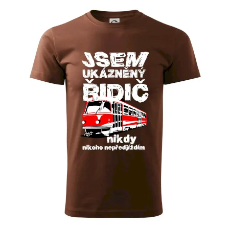 Jsem ukázněný řidič - tramvaj