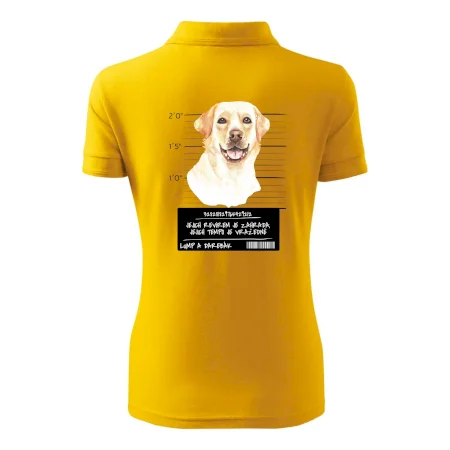 Lump a darebák labrador
