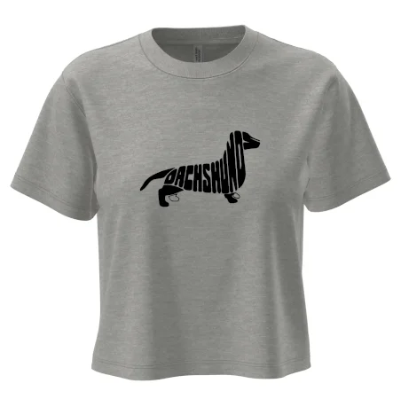 Jezevčík - Dachshund