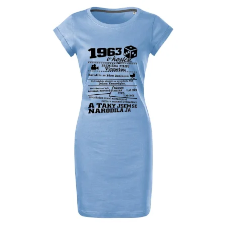 1963 v kostce