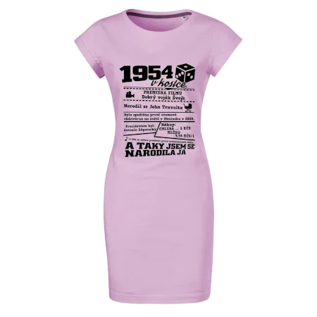 1954 v kostce