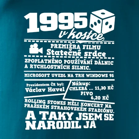 1995 v kostce