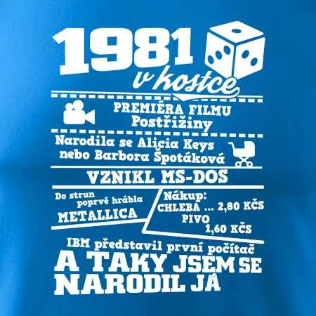 1981 v kostce