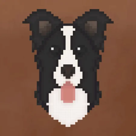 Border kolie Pixel