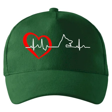 Německý ovčák ekg