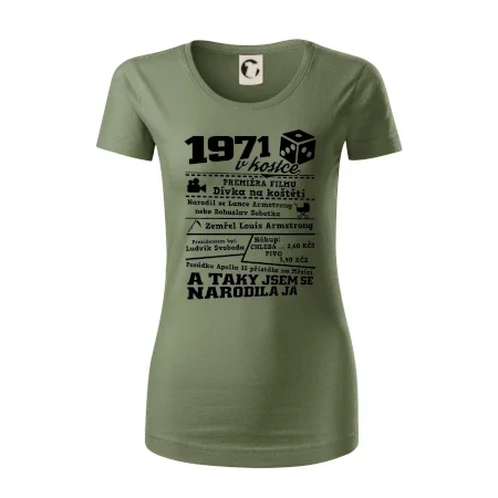 1971 v kostce