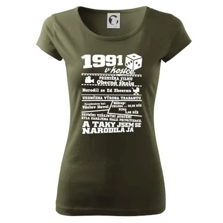 1991 v kostce