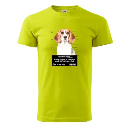 Lump a darebák bígl