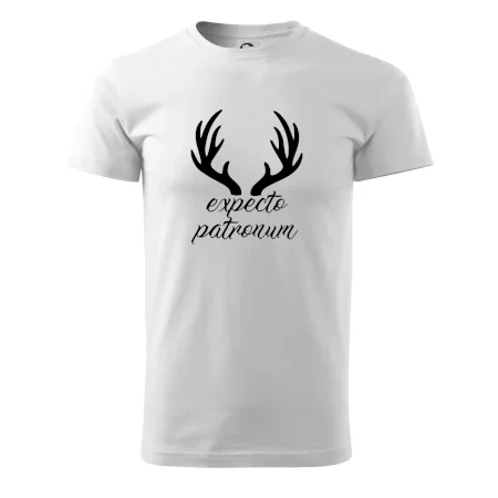 Harry - Expecto patronum