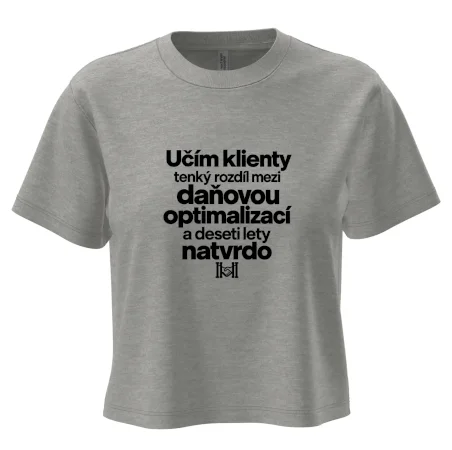 Daňová optimalizace versus deset let natvrdo