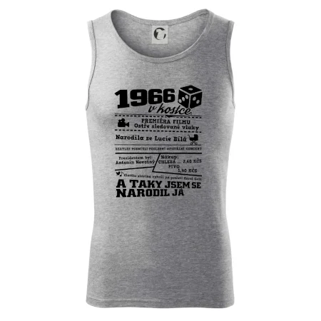 1966 v kostce
