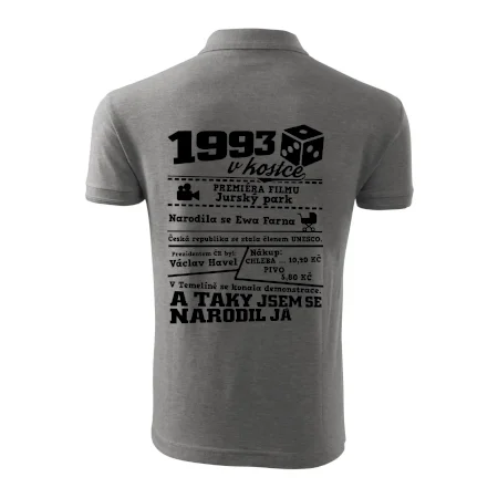 1993 v kostce