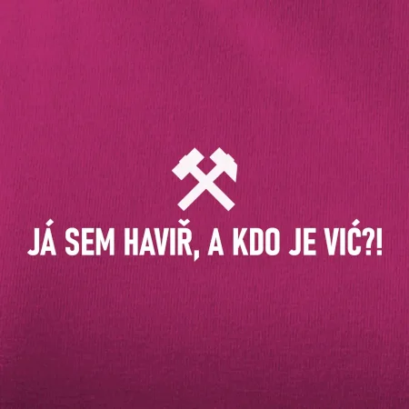 JÁ SEM HAVIŘ, A KDO JE VIĆ?!﻿