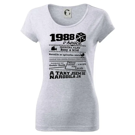 1988 v kostce