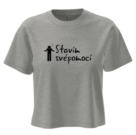 Stavím svépomocí - ikona