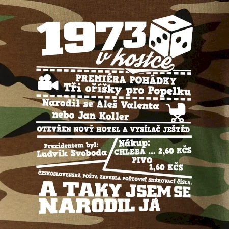 1973 v kostce