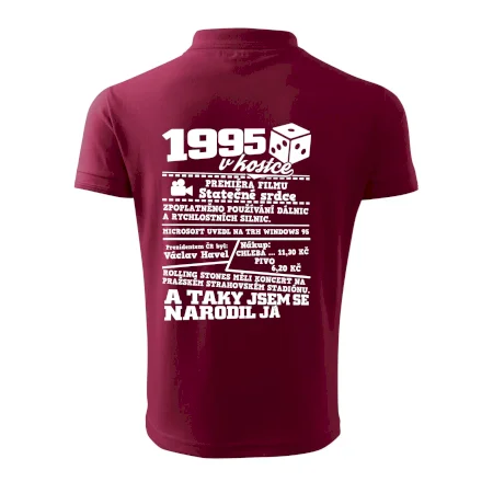 1995 v kostce