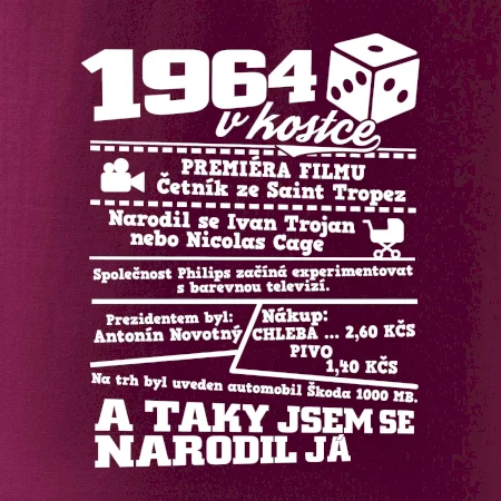 1964 v kostce