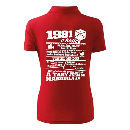 1981 v kostce