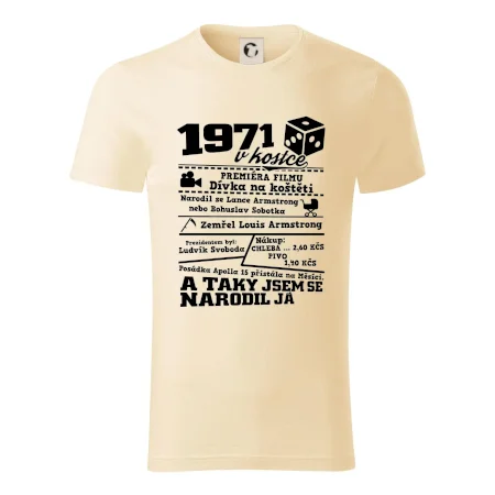 1971 v kostce